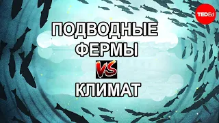 Подводные фермы в борьбе с изменением климата / Ted Ed на русском языке