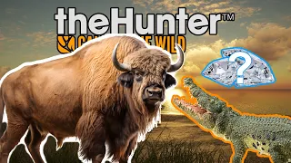 Diamond Plains Bison and Piebald Crocodile | TheHunter: Call of the Wild