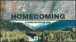 Homecoming: A Salmon Restoration Story  | Trailer
