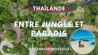 Les Îles Similan, la baie de Phan Nga, la jungle de Khao Sok : le SUD de la THAÏLANDE partie II