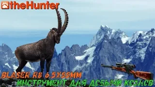 theHunter Classic | Blaser R8 - инструмент для добычи козлов | точность, стиль, аккуратность