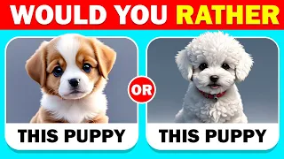 Would You Rather...? Animals Edition 🐶🐴