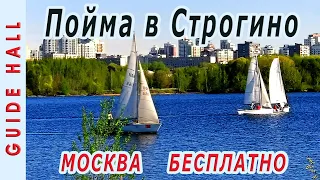 Большой Строгинский затон (Строгинская пойма) - лучшие пляжи в Москве, где можно бесплатно купаться!