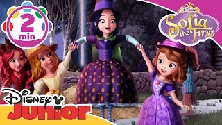 Sofia the First |  Broomstick Dance | Disney Junior UK