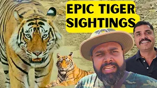 Ranthambore National Park Safari: EPIC Tiger Sightings! (CUBS, Female & Male)