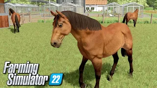 Hodowla koni - Farming Simulator 22 | #39