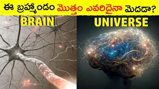Are We Living In Someone's Mind? | Similarity Between Human Brain And Universe