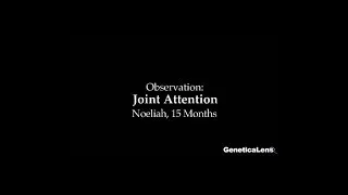 Observation: Joint Attention: Noeliah 15 months