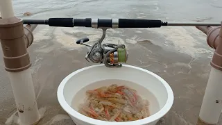 CORRUPTO COM ESSA ISCA É PEIXE NA LINHA GARANTIDO PESCARIA DE  COSTÃO E PRAIA GUARAPARI ES PESCARIA