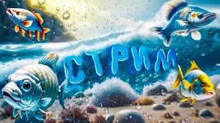 🐙ЗА ТРОФЕЯМИ НА СУРУ🐙ДОБРЫЙ  СТРИМ РУССКАЯ РЫБАЛКА 4