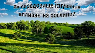 Урок 55 "Як  середовище існування впливає на рослини?" Я досліджую світ 3 клас.