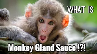 Monkey Gland Sauce