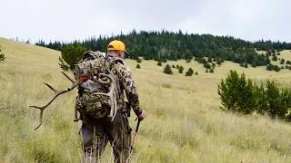 5 more days (Colorado elk hunt)