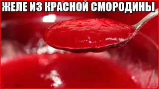 ЖЕЛЕ ИЗ КРАСНОЙ СМОРОДИНЫ НА ЗИМУ