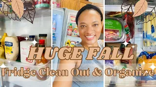 HUGE Fall Fridge Organization & Clean With Me | Satisfying deep cleaning + Organization tips