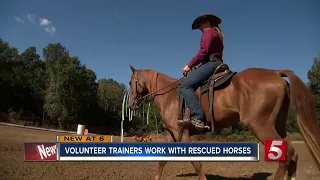 Neglected Horses Get Second Chance At Rally For The Rescues