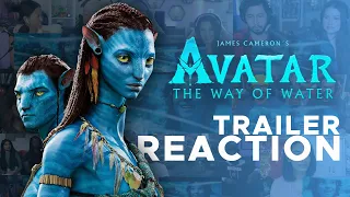 Avatar: The Way of Water | Official Trailer Reaction Mashup | James Cameron