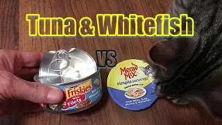 BEST CAT FOOD- Friskies VS  Meow Mix -Tuna & Whitefish with GRAVY!