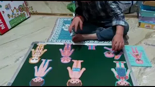 Human body structure puzzle