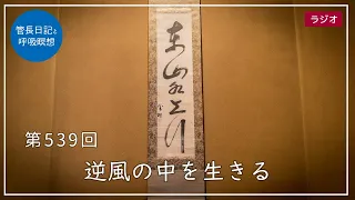 第539回「逆風の中を生きる」2022/6/29【毎日の管長日記と呼吸瞑想】｜ 臨済宗円覚寺派管長 横田南嶺老師