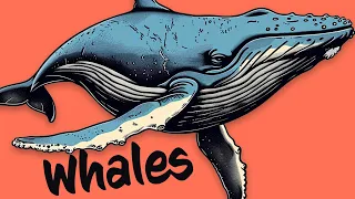 Which WHALES do you know? 🐳 Orca, Narwhal, Humpback, Blue Whale & MORE