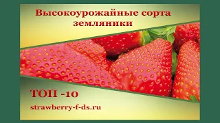 Высокоурожайные сорта земляники. ТОП-10.