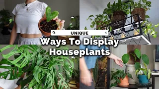 Upgrade Your Home with THESE Indoor Plant Display Tricks!