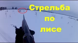 Стрельба по лисе || Охота в 2018г. || Фартовая лиса