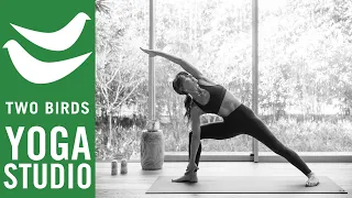 60 Minute Vinyasa Flow -  Strength, Flexibility & Stamina