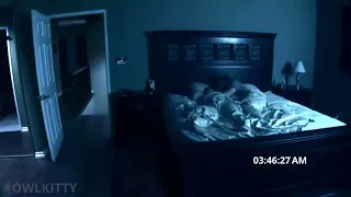 Activitate paranormala cu o pisica-fantoma (editare video)