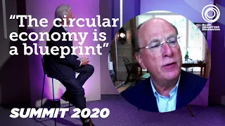 The Circular Economy is a Blueprint | CEO of BlackRock | Larry Fink