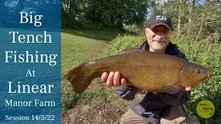 Big Tench Fishing At Linear Fisheries - Manor Farm - 14/5/22 (Video 320)