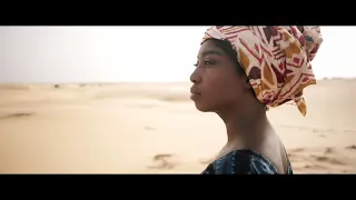 THE GREAT GREEN WALL Trailer – 2021 New African Film Festival