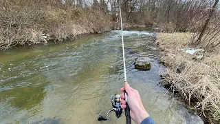 TROUT Fishing with LEGENDARY Lure! (Creek Fishing)