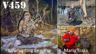 Bowhunting Beaver In Estonia (Koprajaht vibuga Eestis), Season 3 with Mario Traks V459