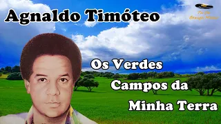 Agnaldo Timóteo - Os Verdes Campos da Minha Terra (Legendado)