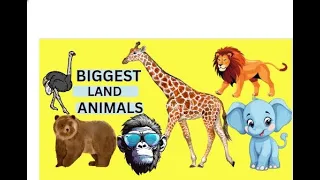 TOP 10 BIGGEST LAND ANIMALS IN THE WORLD. Kids Fun Educational Video. #toddlerlearning #youtubetrend