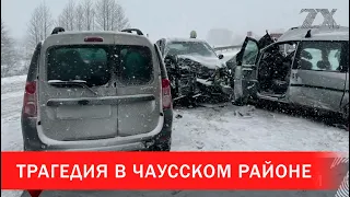 Трагедия в Чаусском районе: погибли 2 человека | Зона Х