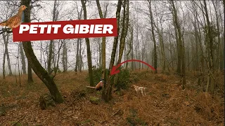 FERMETURE DU PETIT GIBIER (2023/2024)