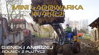 Wybieranie obornika w Plutyczach Andrzej i Jarek wynajęli mini ładowarkę Stage Giant g2300 Rolnicy