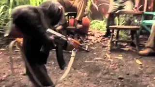 Оружие в руках обезьяны,Soldiers give monkey a gun