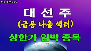 대선주 다음주 상한가 나옵니다(삼부토건 남선알미늄 부국철강 보광산업 우진 아즈텍WB 휴맥스 에이텍 토탈소프트 카스 에코플라스틱 현우산업 이스타고 주연테크 삼일 티비씨 한국선재)