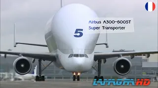 Airbus Beluga - A300-600ST (Super Transporter) - Outsize cargo freight aircraft