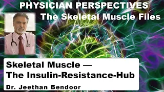 Skeletal Muscle -- The Insulin Resistance Hub