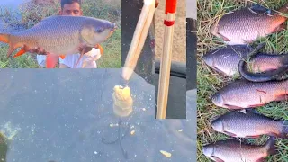 All taim warking fishing | Triple hook with floating | Youtube fishing hints and tips | More videos