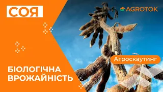 🔍 ЯК ВИЗНАЧИТИ БІОЛОГІЧНУ ВРОЖАЙНІСТЬ СОЇ? ✅