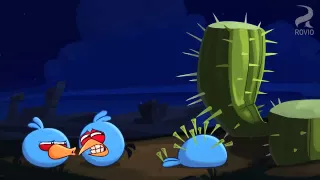 Angry birds toons bombs awake clip