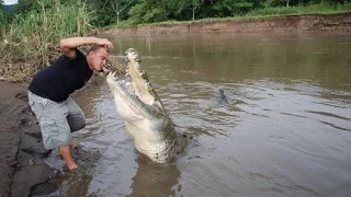 Hand Feeding the Largest Crocodile in Central America (Croc Man Tour, Costa Rica)