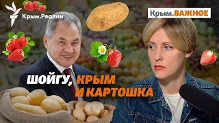 Некомпетентный Шойгу и крымская пропаганда картошкой | Крым.Важное