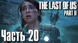 The Last of Us: Part 2 (Одни из Нас: Часть 2) Прохождение Часть 20 "Трасса намер 5 (2)"
